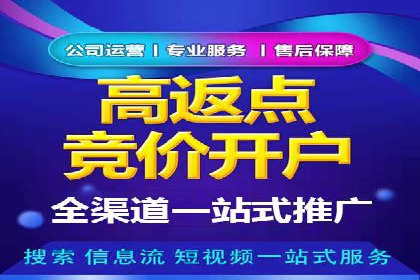 案例分析：SEM广告助力电商行业突破